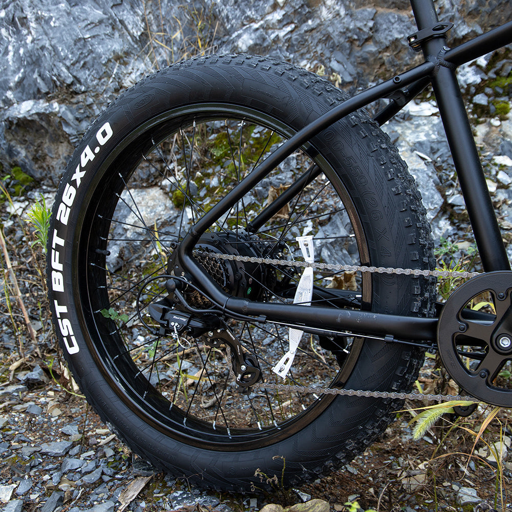 Sivrock 1000W Electric Fat Tire Mountain Bike (Long-Range)